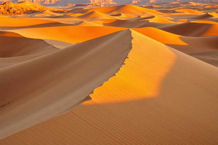 Dune Ridge, Golden Hour, an atmospheric scene generated in golden orange and warm brown, built for mood and depth rather than a literal view.