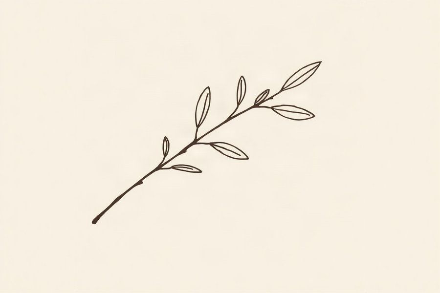 Olive Branch Study, a minimal fine-line botanical design on warm white -- warm white and a soft sepia line, minimal and quietly botanical.