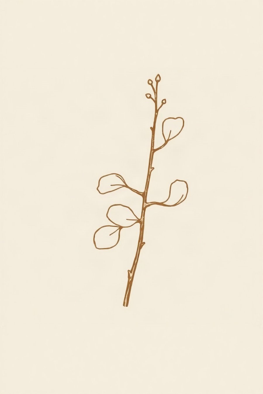 Eucalyptus Sprig, a minimal fine-line botanical design on warm white -- warm white and a soft sepia line, minimal and quietly botanical.