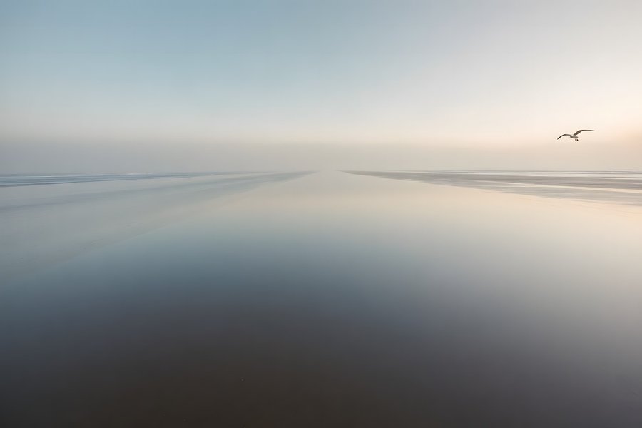 Wide empty beach at first light with a long wet-sand reflection and a single distant gull silhouette, muted grey-blue coastal fine art print.