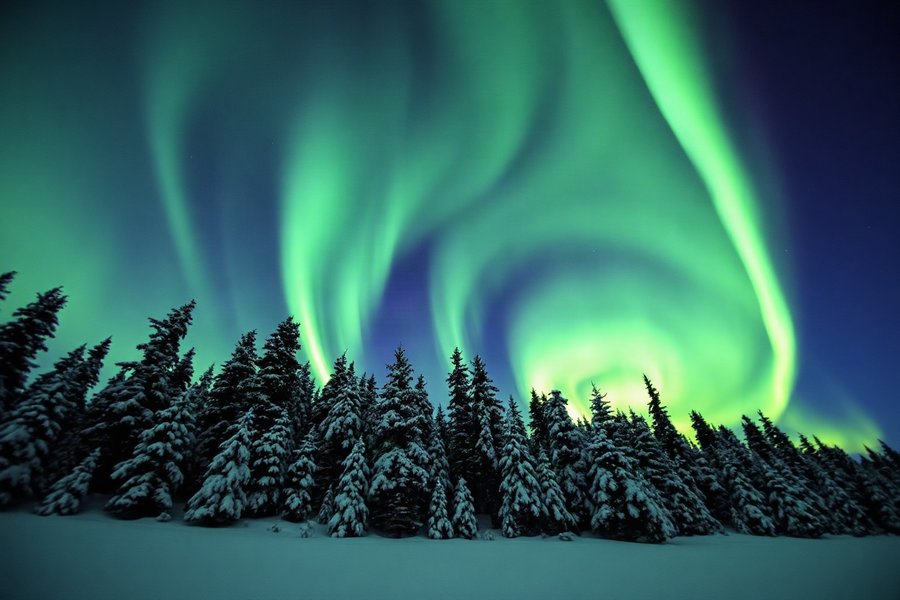Aurora Over Pines, an atmospheric scene generated in aurora green and deep night blue, built for mood and depth rather than a literal view.