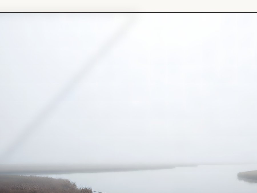 Salt Marsh, Mist, shown framed