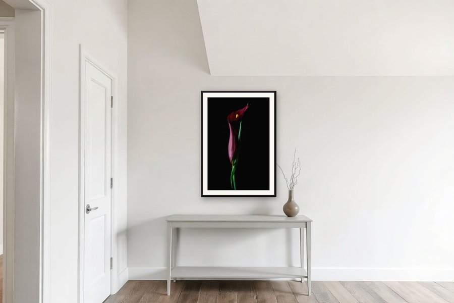 Calla Lily, Glowing, shown in a room setting