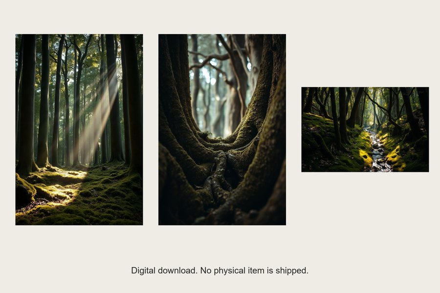 Old Woodland gallery wall set of three prints, shown in a room setting
