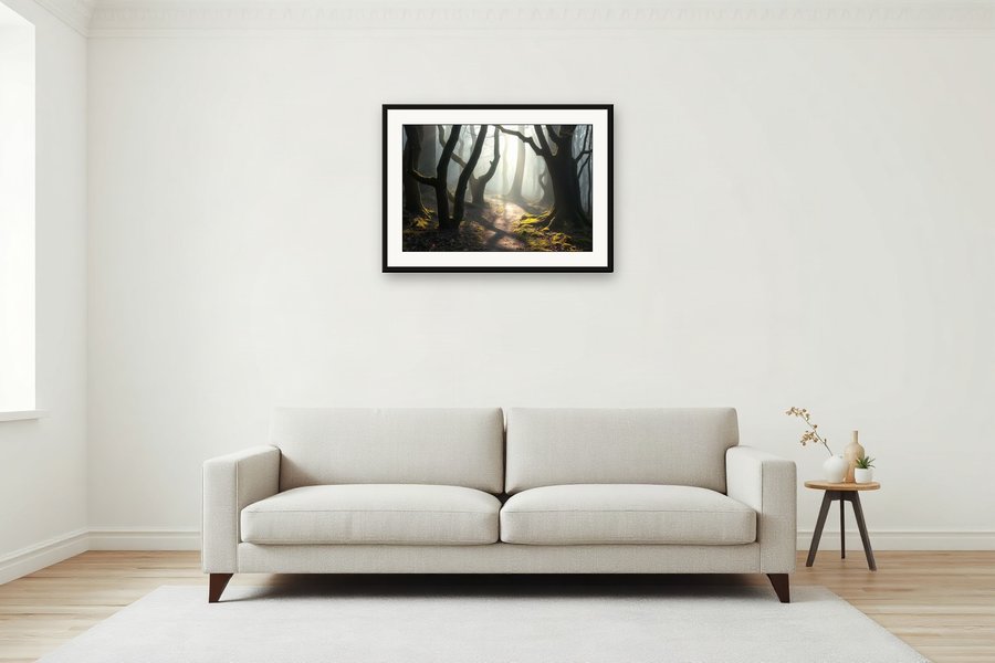 Woodland Path in Mist, shown in a room setting