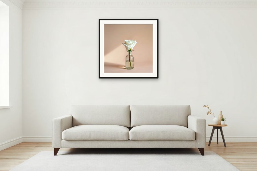 Single Rose, Bottle, shown in a room setting